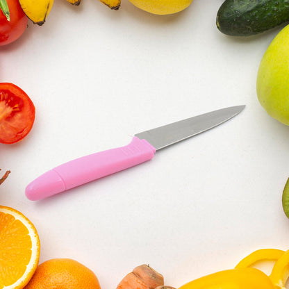 Sharp Fruit Knife (Stainless Steel, Comfortable Grip): 1 Pc