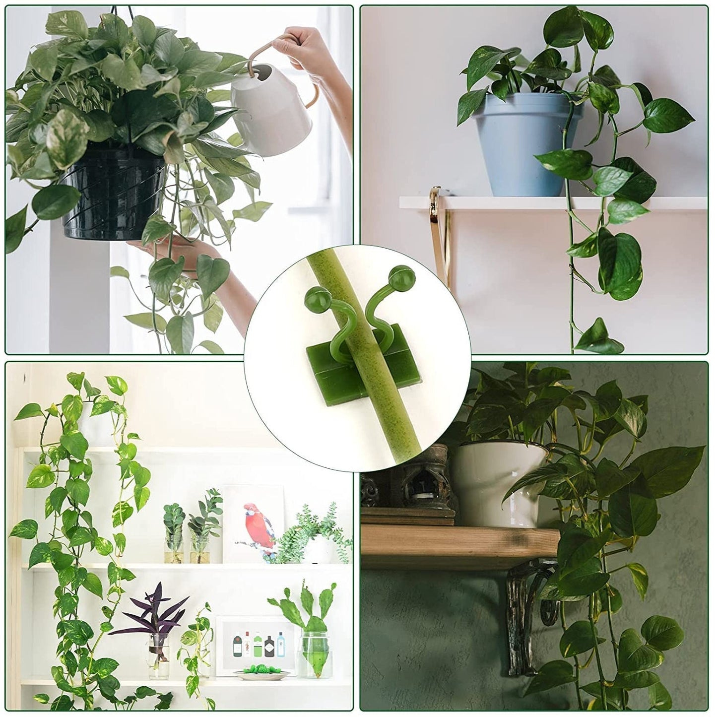 6156A 30pcs wall Plant Climbing Clip widely used for holding plants and poultry purposes and all. 