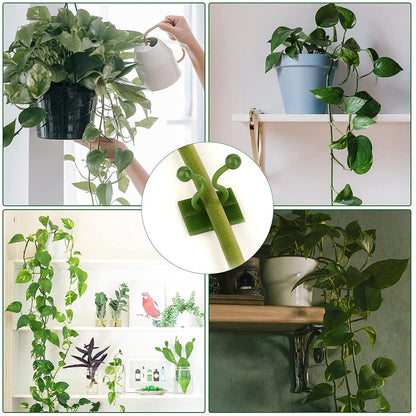 6156A 30pcs wall Plant Climbing Clip widely used for holding plants and poultry purposes and all. 