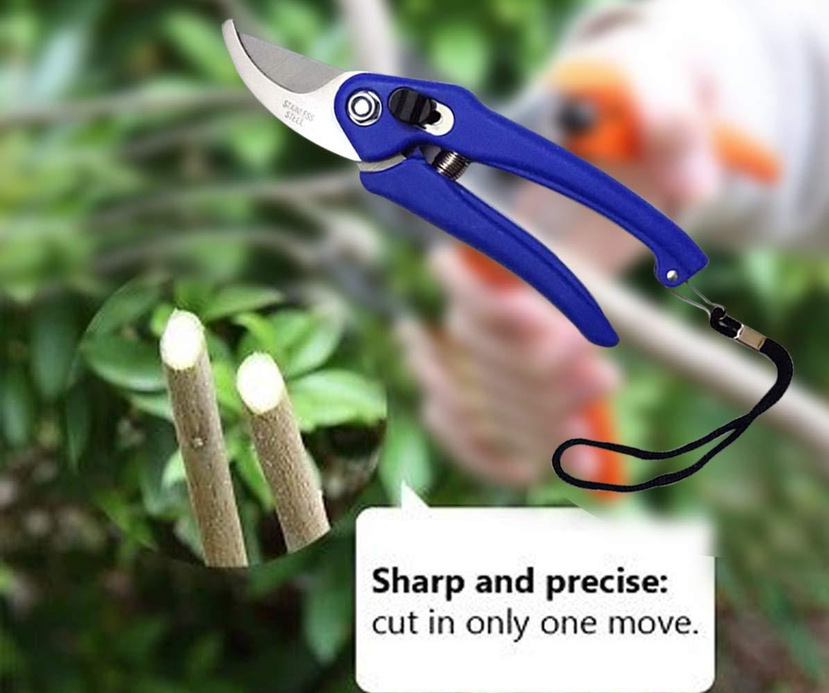 Stainless Steel Garden Scissors